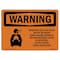 Signmission OSHA Warning Sign, 7" Height, 10" Width, Rigid Plastic, Nitrogen Gas Can Cause Injury, Landscape OS-WS-P-710-L-12260 - alternate 1